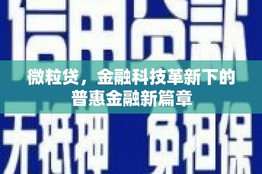 秀屿微粒贷，金融科技革新下的普惠金融新篇章