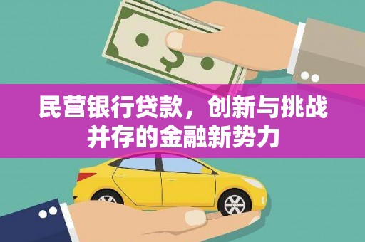 秀屿民营银行贷款，创新与挑战并存的金融新势力