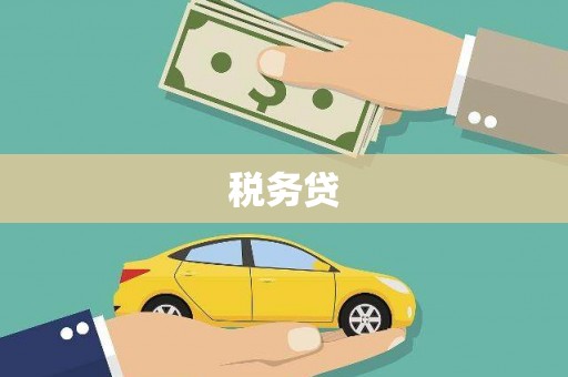 秀屿税务贷