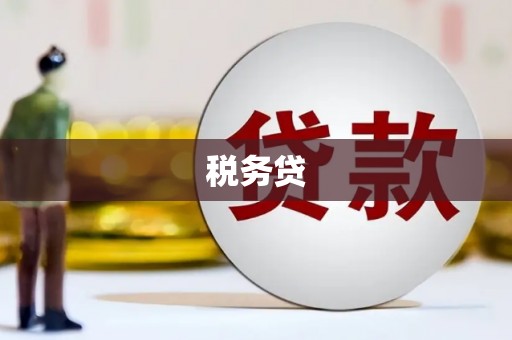 秀屿税务贷