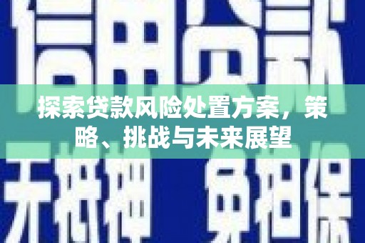 秀屿探索贷款风险处置方案，策略、挑战与未来展望