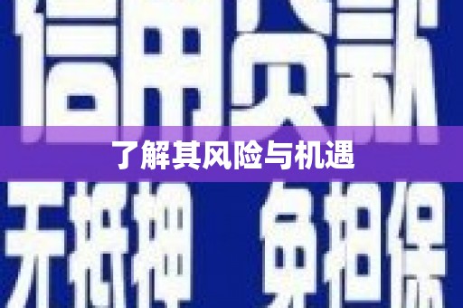 秀屿了解其风险与机遇