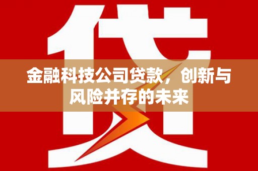秀屿金融科技公司贷款，创新与风险并存的未来