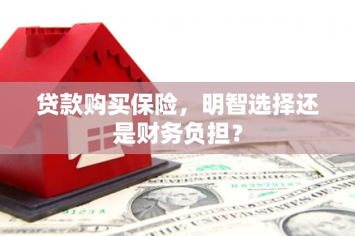 秀屿贷款购买保险，明智选择还是财务负担？