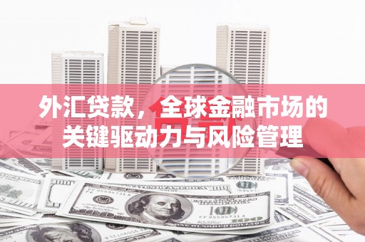 秀屿外汇贷款，全球金融市场的关键驱动力与风险管理