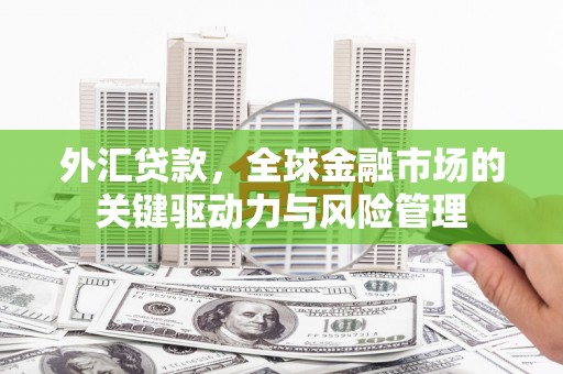 秀屿外汇贷款，全球金融市场的关键驱动力与风险管理