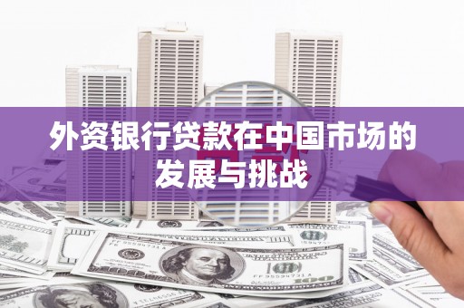 秀屿外资银行贷款在中国市场的发展与挑战