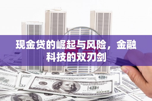 秀屿现金贷的崛起与风险，金融科技的双刃剑