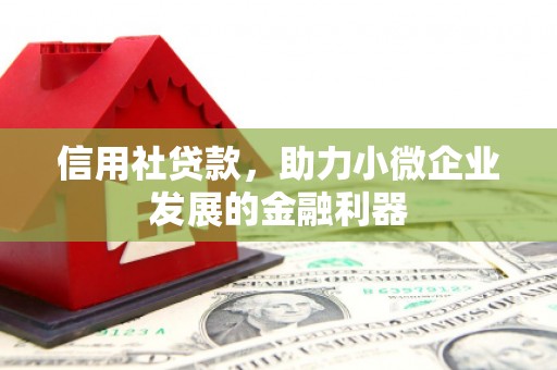 秀屿信用社贷款，助力小微企业发展的金融利器