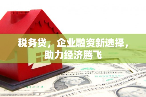 秀屿税务贷，企业融资新选择，助力经济腾飞