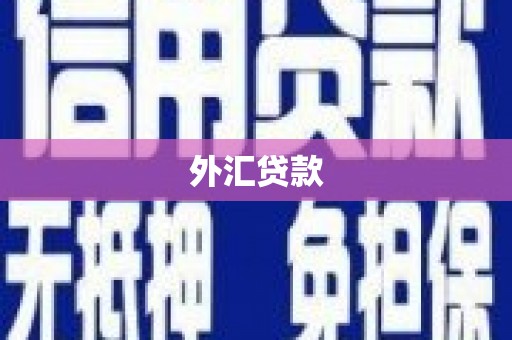 秀屿外汇贷款