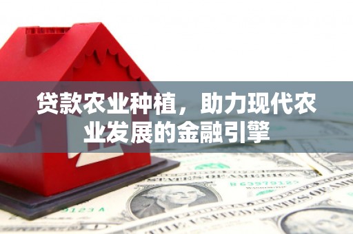 秀屿贷款农业种植，助力现代农业发展的金融引擎