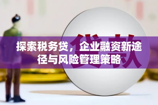 秀屿探索税务贷，企业融资新途径与风险管理策略
