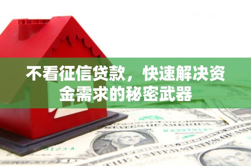 秀屿不看征信贷款，快速解决资金需求的秘密武器