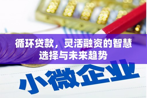 秀屿循环贷款，灵活融资的智慧选择与未来趋势