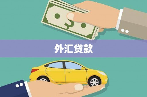 秀屿外汇贷款