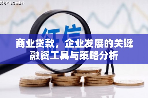 秀屿商业贷款，企业发展的关键融资工具与策略分析
