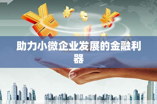 秀屿助力小微企业发展的金融利器