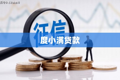 秀屿度小满贷款