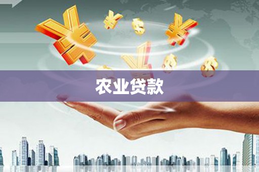 秀屿农业贷款