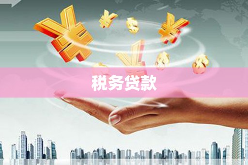秀屿税务贷款