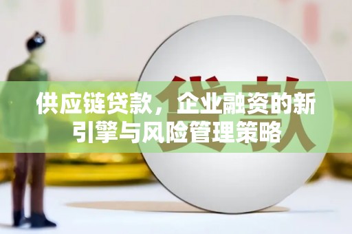 秀屿供应链贷款，企业融资的新引擎与风险管理策略