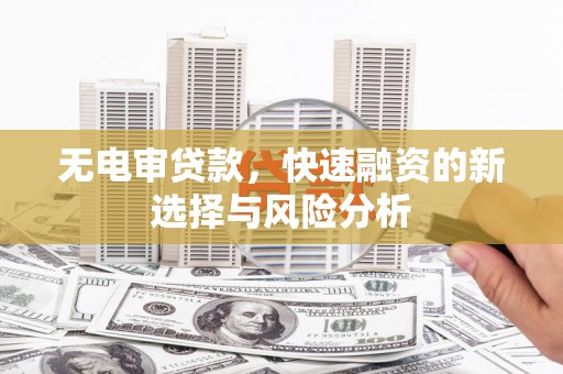 秀屿无电审贷款，快速融资的新选择与风险分析