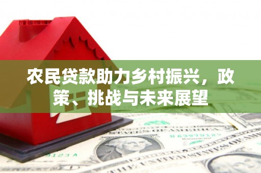 秀屿农民贷款助力乡村振兴，政策、挑战与未来展望
