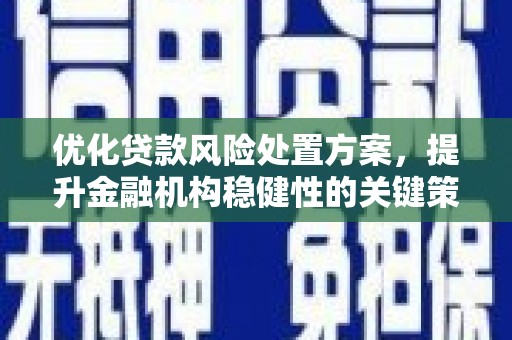 秀屿优化贷款风险处置方案，提升金融机构稳健性的关键策略