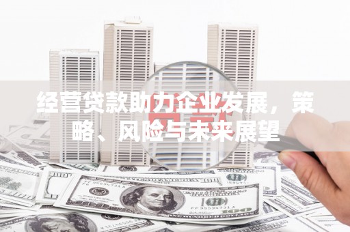 秀屿经营贷款助力企业发展，策略、风险与未来展望