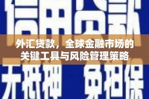 秀屿外汇贷款，全球金融市场的关键工具与风险管理策略