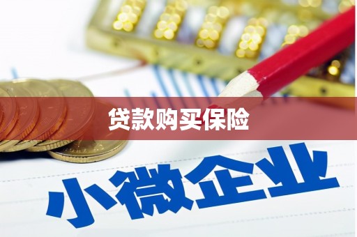 秀屿贷款购买保险