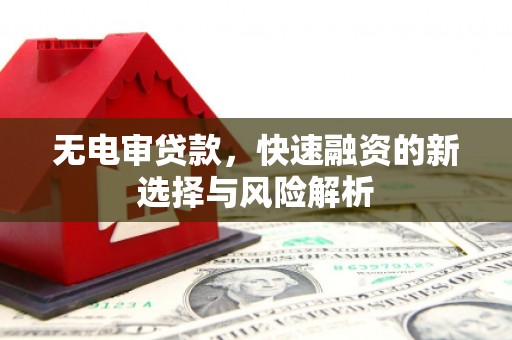 秀屿无电审贷款，快速融资的新选择与风险解析
