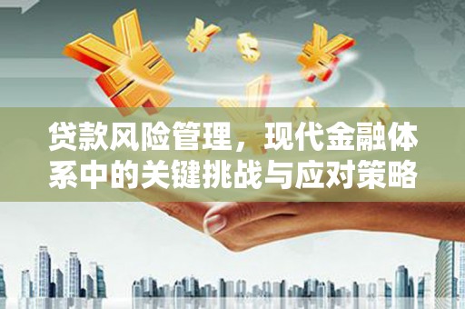 秀屿贷款风险管理，现代金融体系中的关键挑战与应对策略