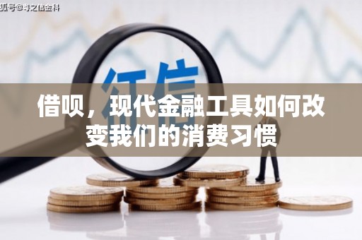 秀屿借呗，现代金融工具如何改变我们的消费习惯