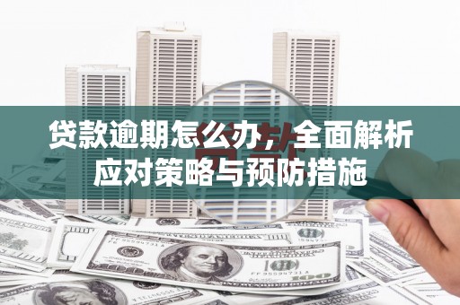 秀屿贷款逾期怎么办，全面解析应对策略与预防措施