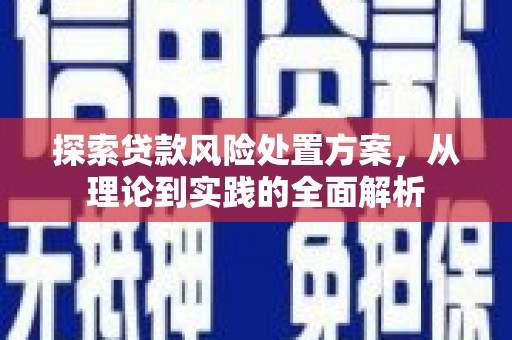 秀屿探索贷款风险处置方案，从理论到实践的全面解析