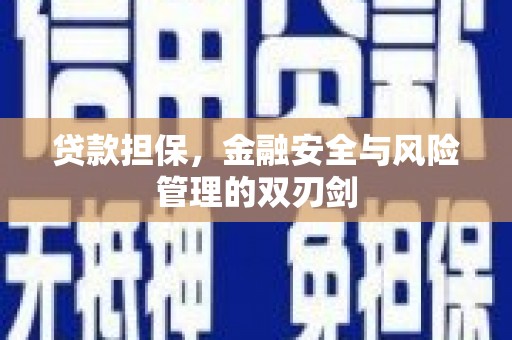 秀屿贷款担保，金融安全与风险管理的双刃剑