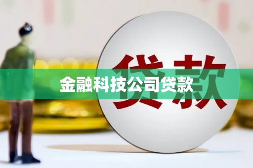 秀屿金融科技公司贷款