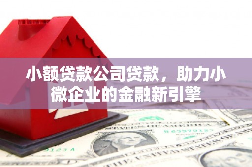 秀屿小额贷款公司贷款，助力小微企业的金融新引擎