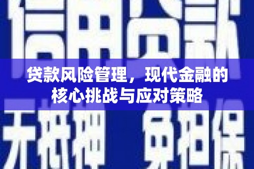 秀屿贷款风险管理，现代金融的核心挑战与应对策略
