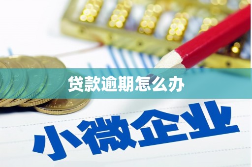 秀屿贷款逾期怎么办