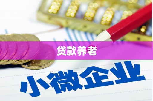 秀屿贷款养老