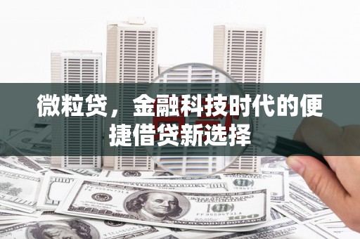 秀屿微粒贷，金融科技时代的便捷借贷新选择