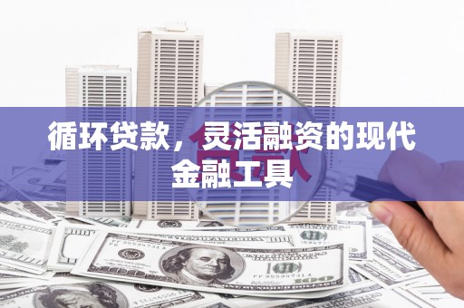 秀屿循环贷款，灵活融资的现代金融工具