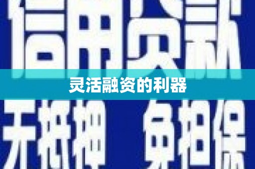秀屿灵活融资的利器