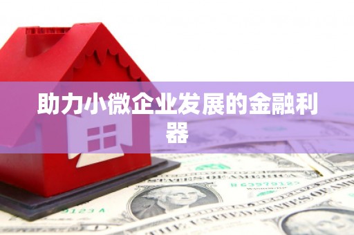 秀屿助力小微企业发展的金融利器