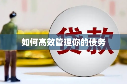 秀屿如何高效管理你的债务