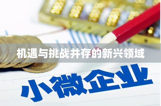 秀屿机遇与挑战并存的新兴领域