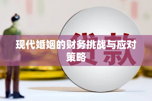 秀屿现代婚姻的财务挑战与应对策略